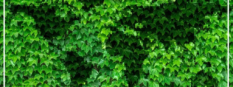 Groene DHI: meer subsidie met duurzamere ambities