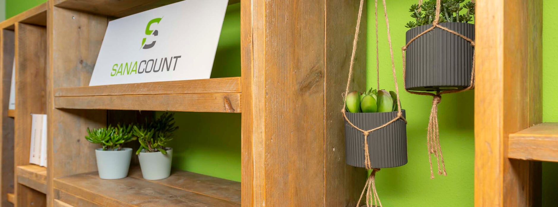 Inkomstenbelasting box 2 - Sanacount Bedrijfs- en Belastingadvies