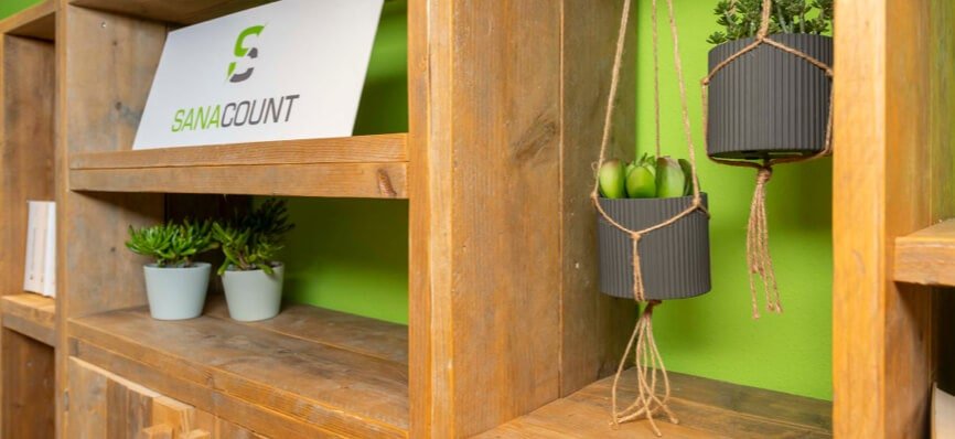 Inkomstenbelasting box 2 klein - Sanacount Bedrijfs- en Belastingadvies